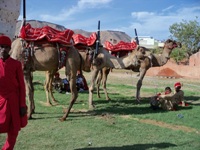 Rageelo Rajasthan