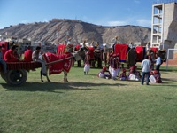 Rageelo Rajasthan